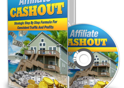 Affiliate Cashout Strategy Guide